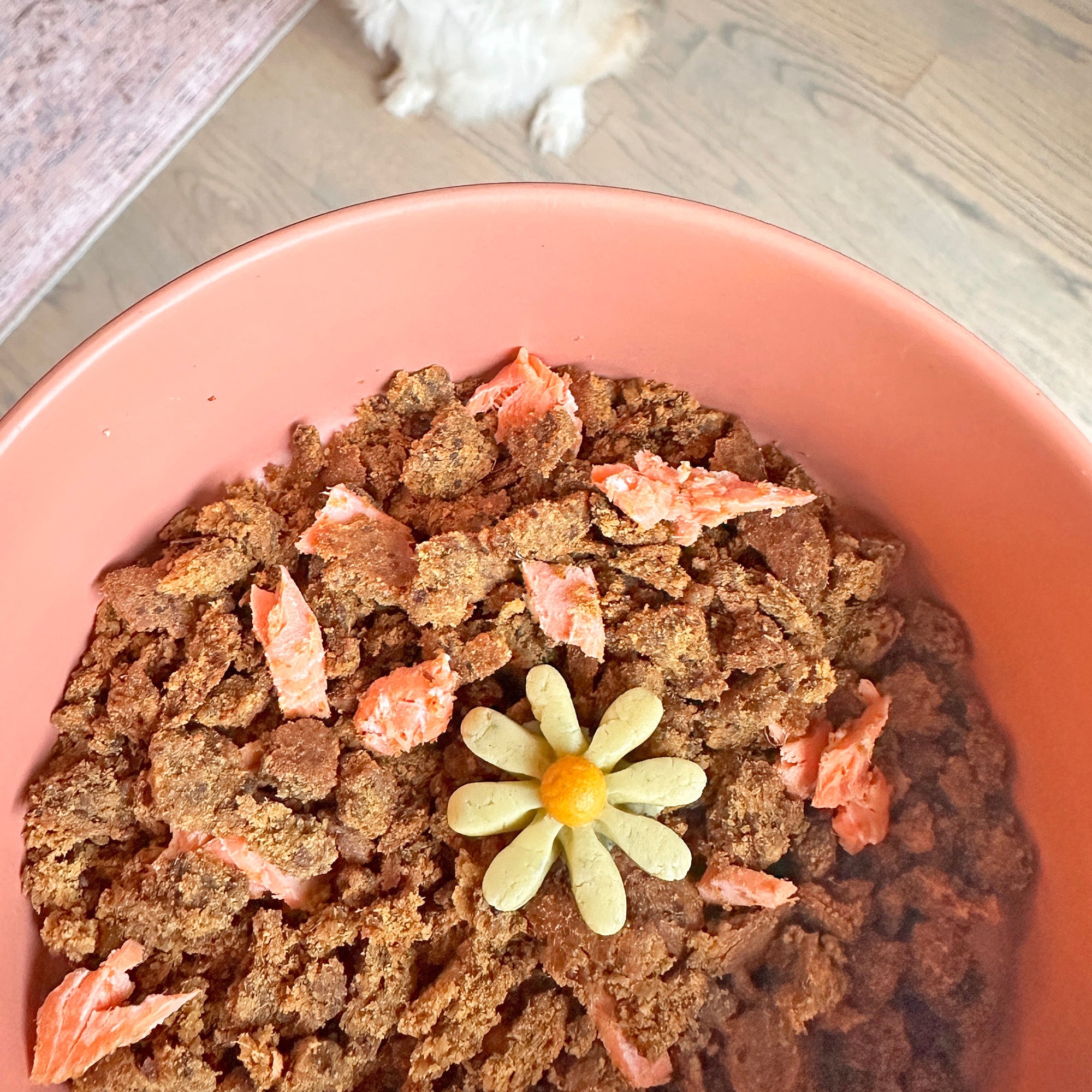 Goat Milk Treats