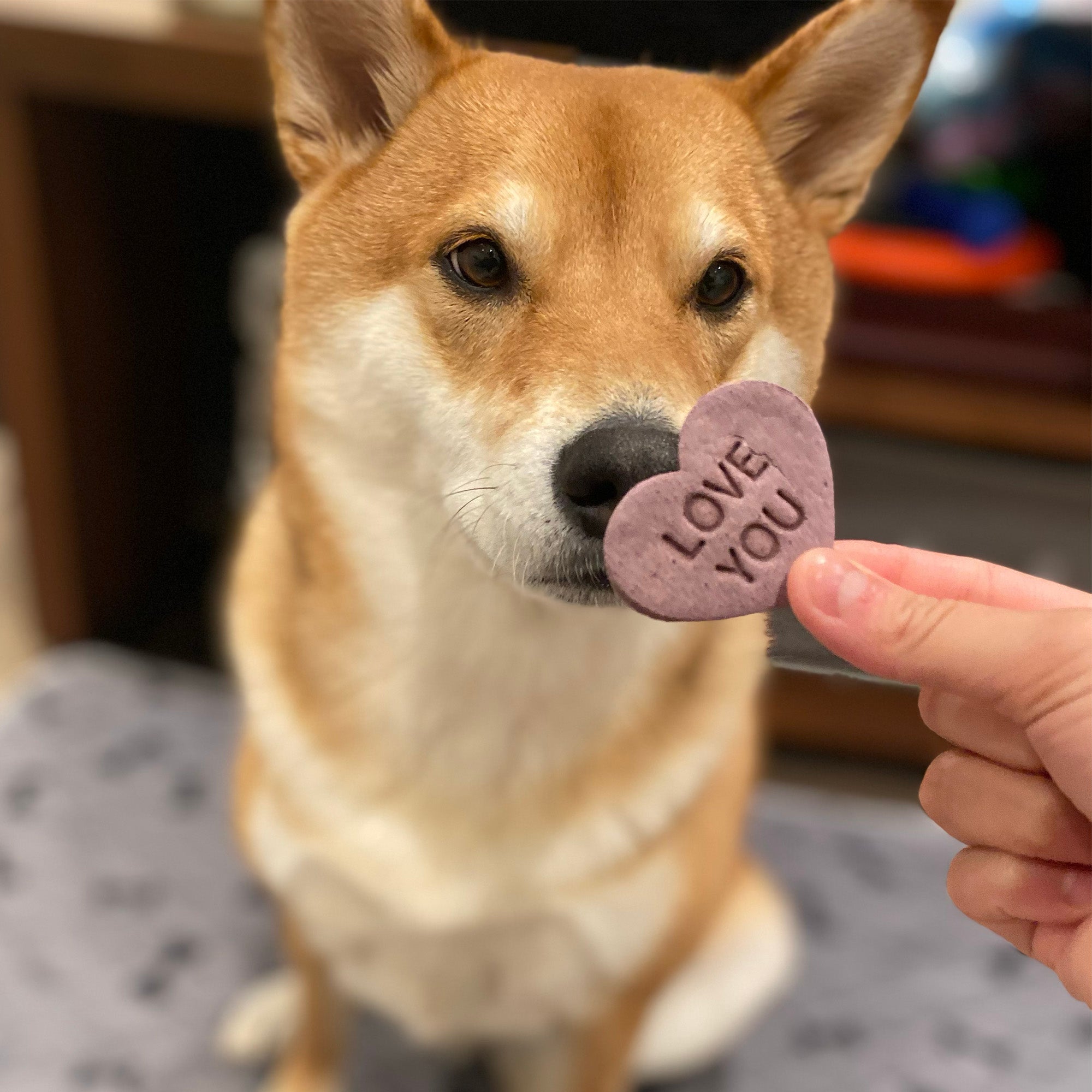 Biscuits & Cookies