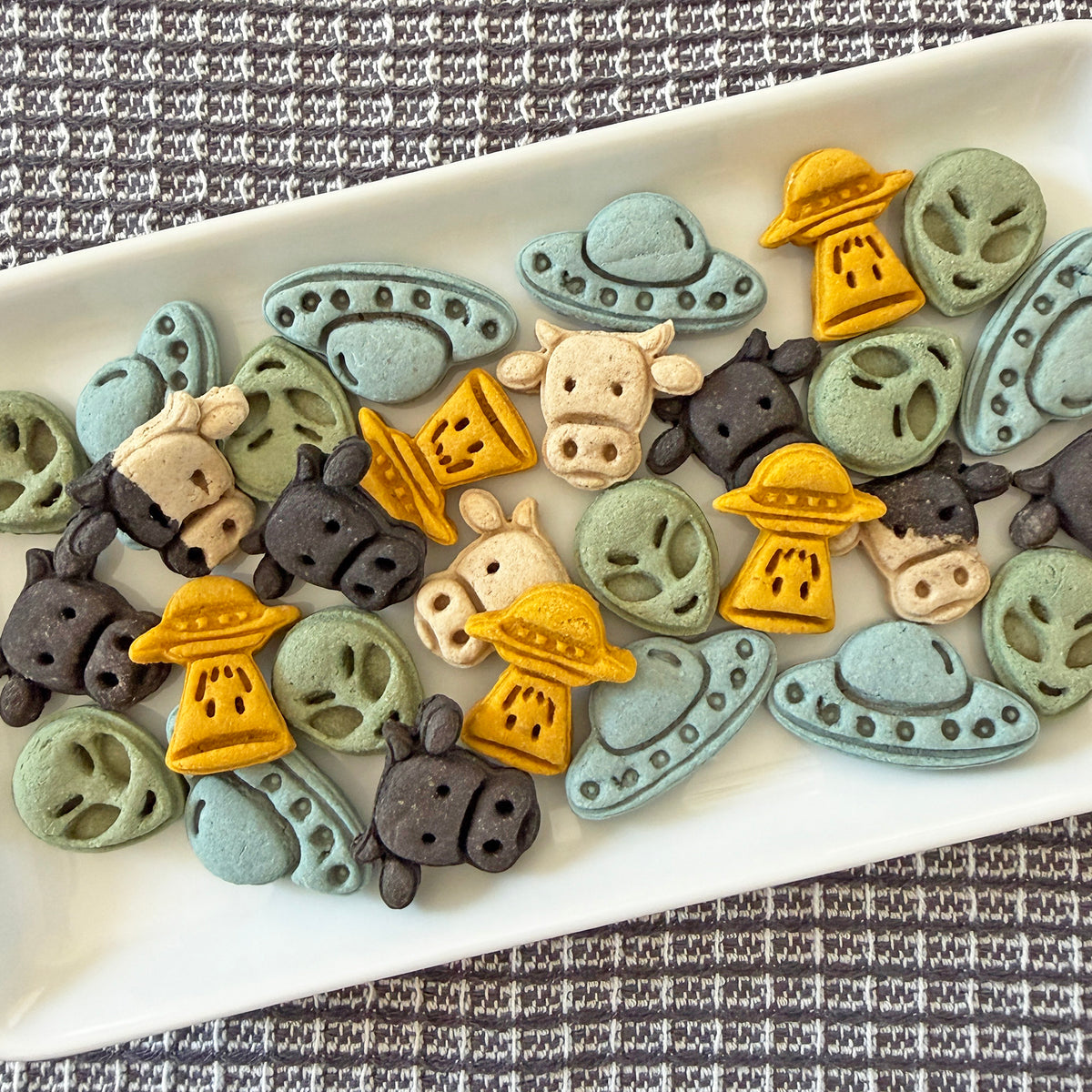 Alien Invasion Pet Treat, Organic Chicken or Wild Sardine