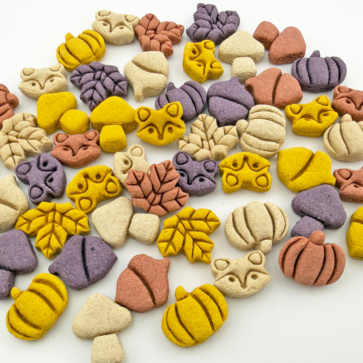 Woodland Fox Oat Pet Treat